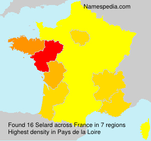 Surname Selard in France Surname Selard in France