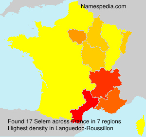 Surname Selem in France Surname Selem in France