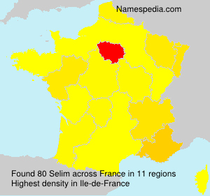 Surname Selim in France Surname Selim in France