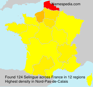 Surname Selingue in France Surname Selingue in France