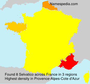 Selvatico Selvatico