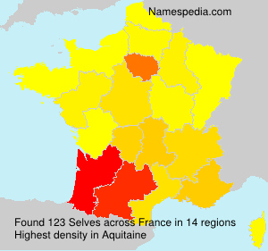 Surname Selves in France Surname Selves in France