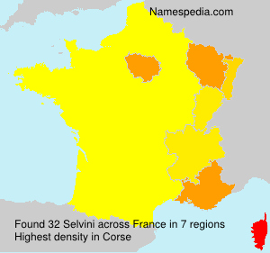 Surname Selvini in France Surname Selvini in France