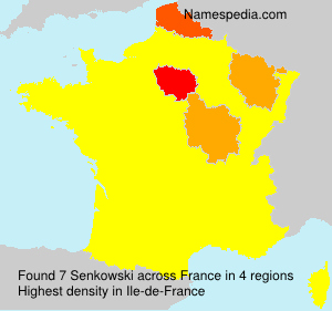 Surname Senkowski in France Surname Senkowski in France