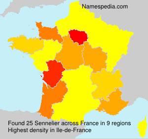 Sennelier Sennelier