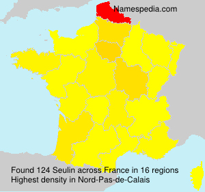Surname Seulin in France Surname Seulin in France