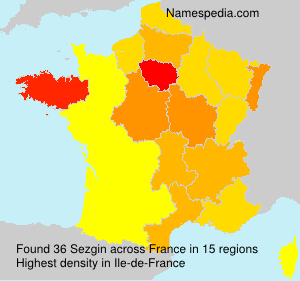 Surname Sezgin in France Surname Sezgin in France