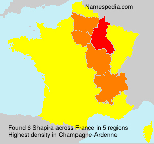 Shapira Shapira