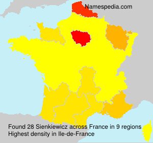 Surname Sienkiewicz in France Surname Sienkiewicz in France