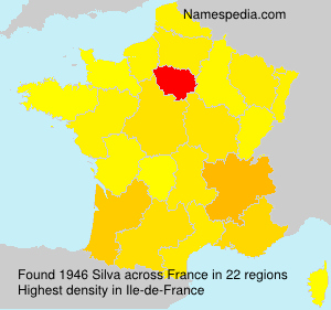 Surname Silva in France Surname Silva in France