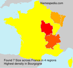 Surname Size in France Surname Size in France