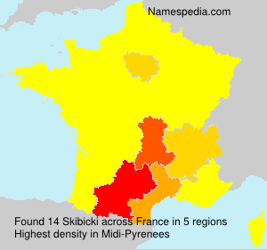 Surname Skibicki in France Surname Skibicki in France