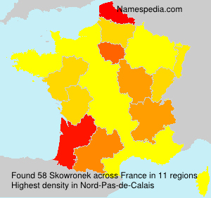 Surname Skowronek in France Surname Skowronek in France