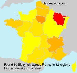 Surname Skrzynski in France Surname Skrzynski in France