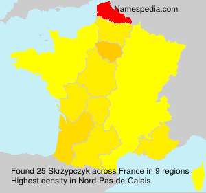 Surname Skrzypczyk in France Surname Skrzypczyk in France