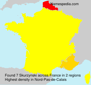 Surname Skurzynski in France Surname Skurzynski in France
