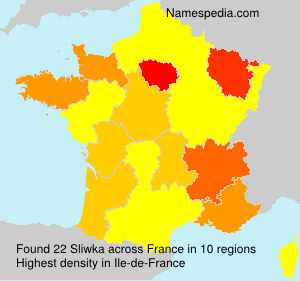 Surname Sliwka in France