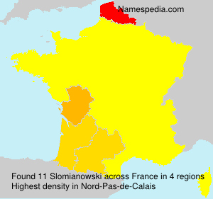 Surname Slomianowski in France Surname Slomianowski in France