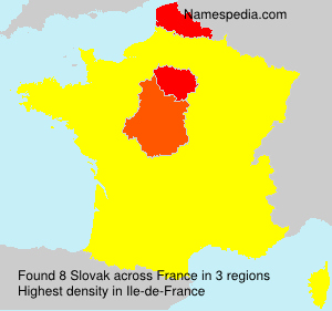 Surname Slovak in France Surname Slovak in France