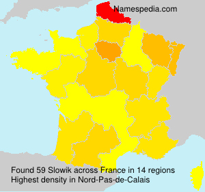Surname Slowik in France Surname Slowik in France