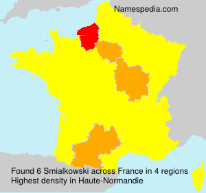 Surname Smialkowski in France Surname Smialkowski in France