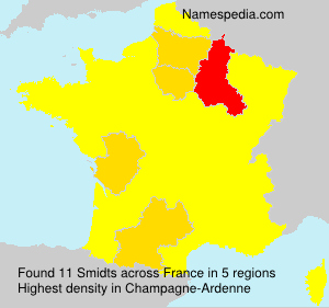 Surname Smidts in France Surname Smidts in France