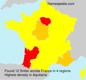 Surname Sniter in France Surname Sniter in France