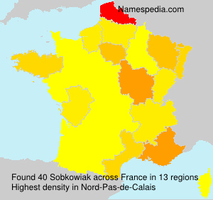 Surname Sobkowiak in France Surname Sobkowiak in France
