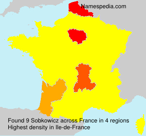 Surname Sobkowicz in France Surname Sobkowicz in France