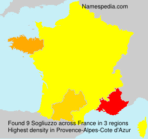 Surname Sogliuzzo in France