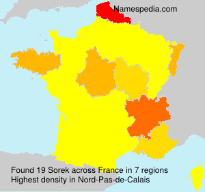Surname Sorek in France Surname Sorek in France