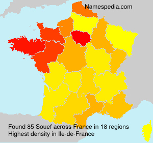 Surname Souef in France Surname Souef in France