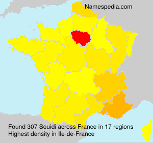 Surname Souidi in France Surname Souidi in France