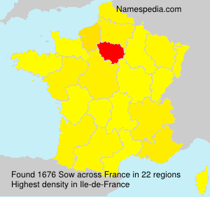 Surname Sow in France Surname Sow in France