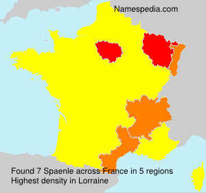 Surname Spaenle in France Surname Spaenle in France