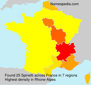 Surname Spinetti in France