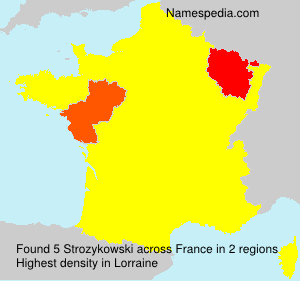 Surname Strozykowski in France Surname Strozykowski in France