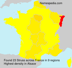 Surname Struss in France Surname Struss in France