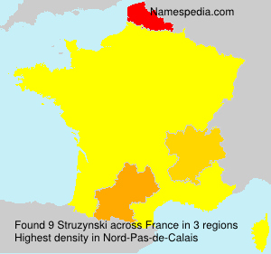 Surname Struzynski in France Surname Struzynski in France