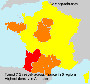 Strzepek Strzepek