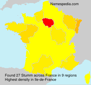 Surname Stumm in France Surname Stumm in France