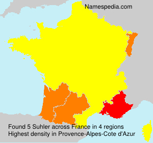 Surname Suhler in France Surname Suhler in France