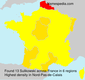 Surname Sulikowski in France Surname Sulikowski in France