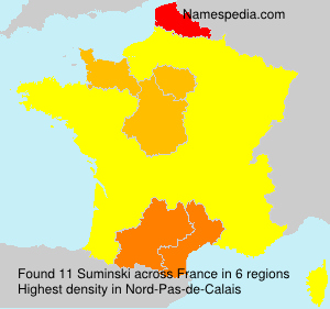 Surname Suminski in France Surname Suminski in France