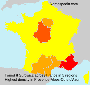 Surname Surowicz in France Surname Surowicz in France