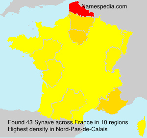 Surname Synave in France