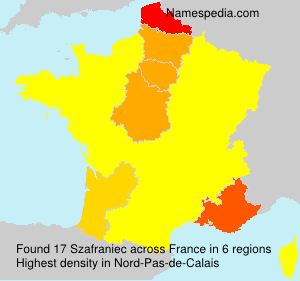 Surname Szafraniec in France Surname Szafraniec in France