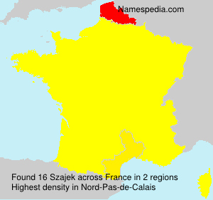 Surname Szajek in France Surname Szajek in France