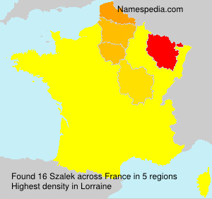 Surname Szalek in France Surname Szalek in France
