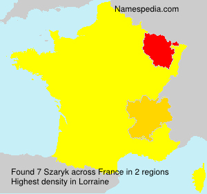 Surname Szaryk in France Surname Szaryk in France